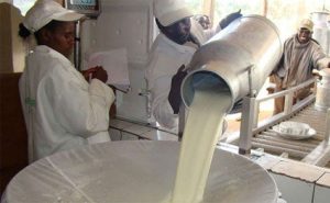 Read more about the article Kenyan MPs Want ‘Cheap Milk Imports’ From Uganda Stopped