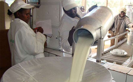 Read more about the article Kenyan MPs Want ‘Cheap Milk Imports’ From Uganda Stopped