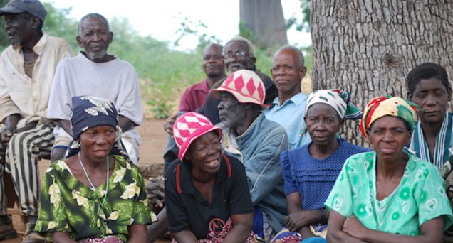 You are currently viewing 5 Foods That You Must Give Your Grandparents To Make Sure They Are Fit And Healthy