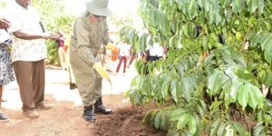 Read more about the article Museveni launches Sukulu fertilisers distributed UPDF business wing, NEC