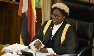 Read more about the article Parliament to consider Bill on their citizenship