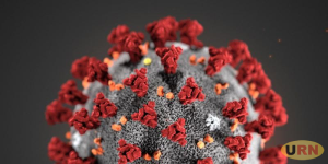 Read more about the article Top Scientists Convene to Slow Coronavirus Spread