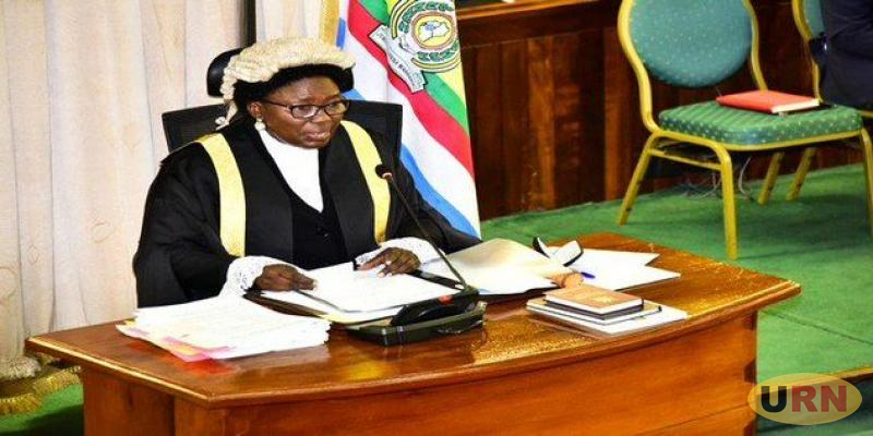 You are currently viewing Parliament Tasks Environment Ministry Over Disappearing Forest Cover