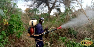 Read more about the article Aerial Locust Spray Unsustainable- Expert