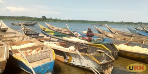 Read more about the article Fisheries Operation Claims One, Two Others Injured