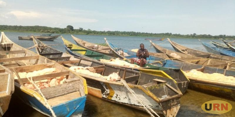 You are currently viewing Fisheries Operation Claims One, Two Others Injured