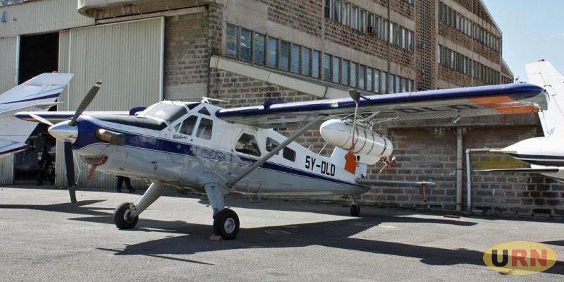 You are currently viewing Government Secures Aircraft, Chemicals to fight Desert Locusts