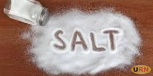 Read more about the article Border Closure: Salt Prices Double