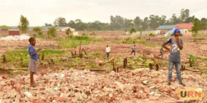 Read more about the article High Court Halts Lusanja Land Evictions