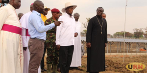 Read more about the article Cassava Is A Strategic Crop- Museveni