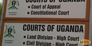 Read more about the article Concerned Citizen Wants 2021 Elections Suspended over Coronavirus Fears