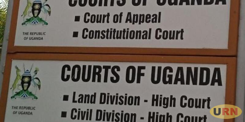 Read more about the article Concerned Citizen Wants 2021 Elections Suspended over Coronavirus Fears