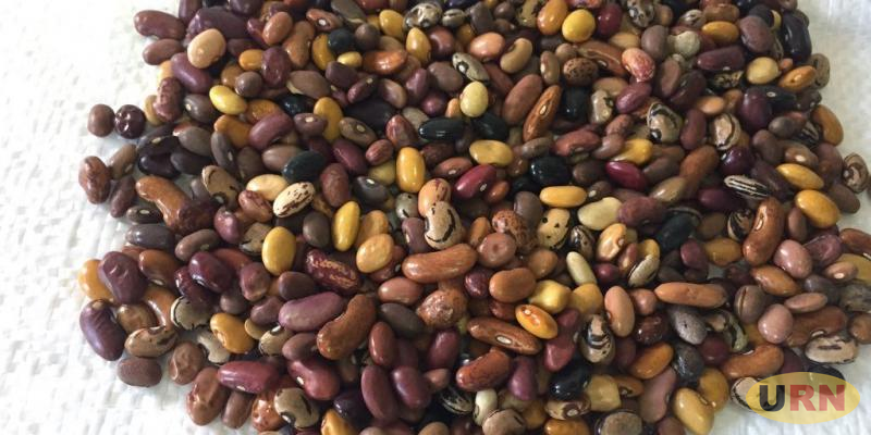 You are currently viewing Gov’t to Review Prices of Relief Food from Suppliers