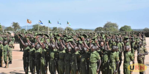 Read more about the article LDU Deserter Arrested