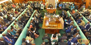 Read more about the article MPs to Be Trained on Video Conferencing