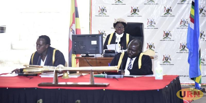 You are currently viewing Parliament Maintains Position on Taxing Loss Making Businesses