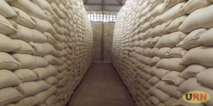 Read more about the article Gov’t Maintains Food Relief will only Cater for Kampala, Wakiso