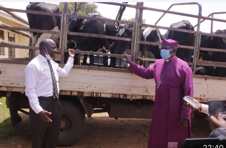You are currently viewing Poverty eradication: Museveni donates 8 heifers to Mukono Diocese