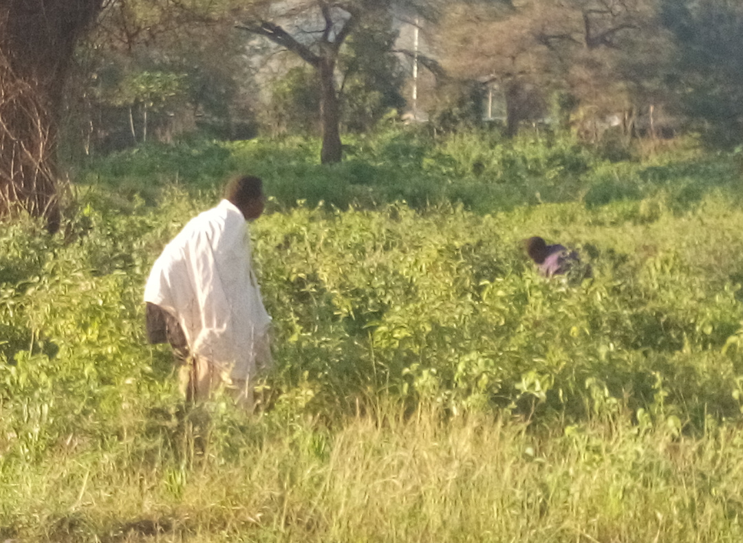 You are currently viewing Moroto cholera infections hit 260 as residents continue defecating in open places