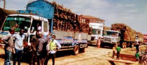 Read more about the article Traders Counting Losses as Kenya Blocks Entry of Uganda Cane Trucks