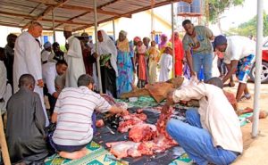 Read more about the article Idd-ul-Adha: The dos and don’ts of sacrifice