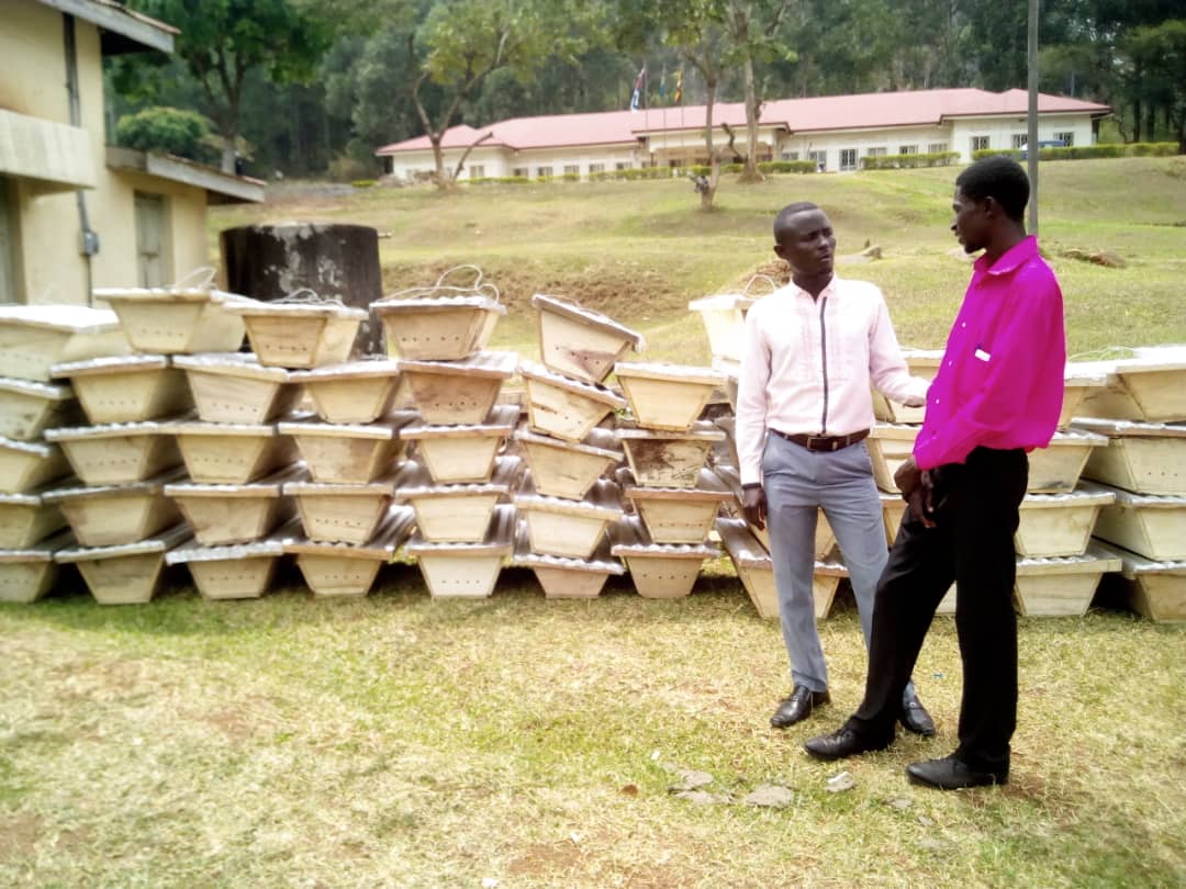 Read more about the article 30 Farmers in Kibaale receive beehives to boost honey production
