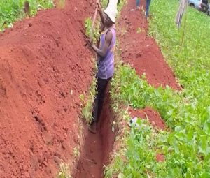 Read more about the article Authorities bitter as contractor delays to complete Kagadi piped water project