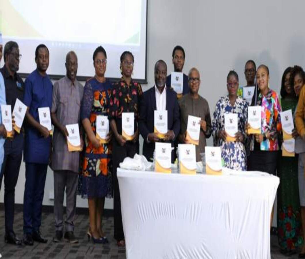 Read more about the article Lagos suspends new safe abortion guidelines