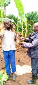 Read more about the article Man arrested for stealing, hiding goat in a Pit Latrine