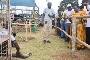 Read more about the article Uganda to Elevate Forest Reserves to National Parks, Prioritize Wildlife Protection